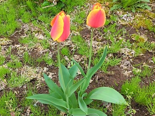 IMG_20220414_113453~3