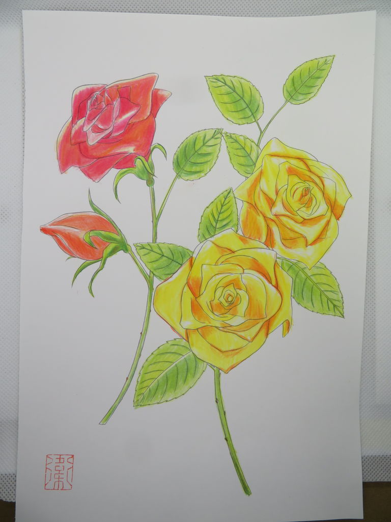 大人が楽しむぬり絵 花 果物 万年筆おやじの備忘録
