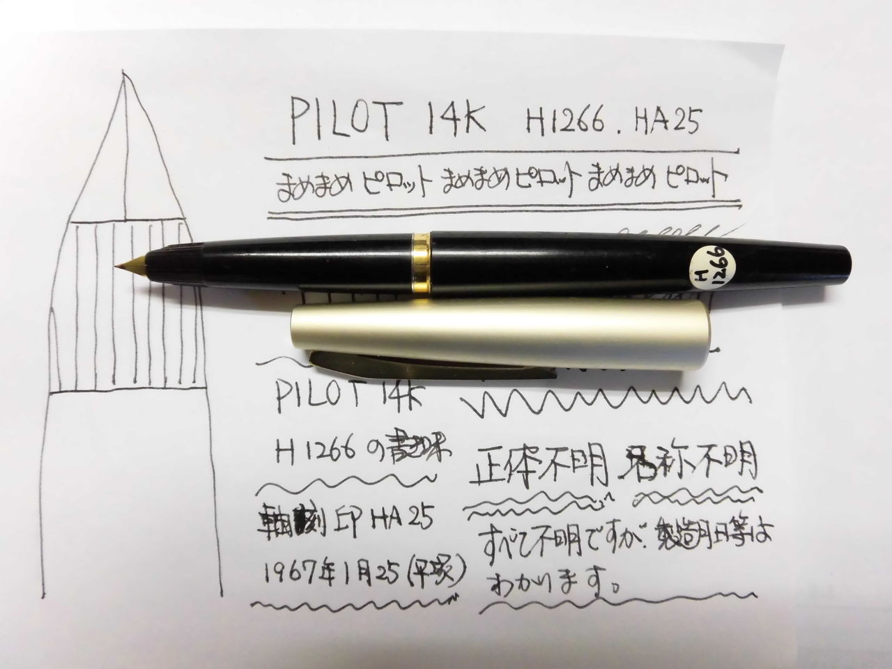 PILOT 14K H1266 HA25 : 万年筆おやじの備忘録