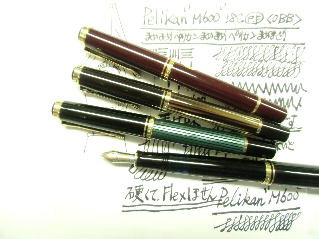 PELIKAN