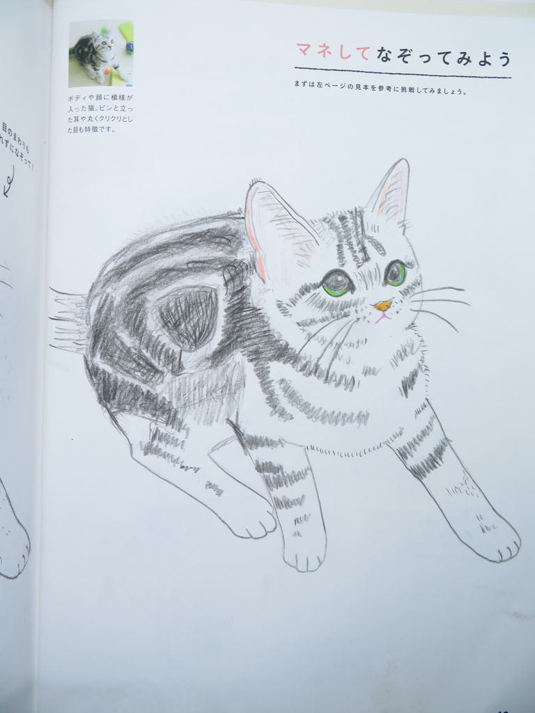 猫イラスト 万年筆おやじの備忘録 猫イラスト 万年筆おやじの備忘録