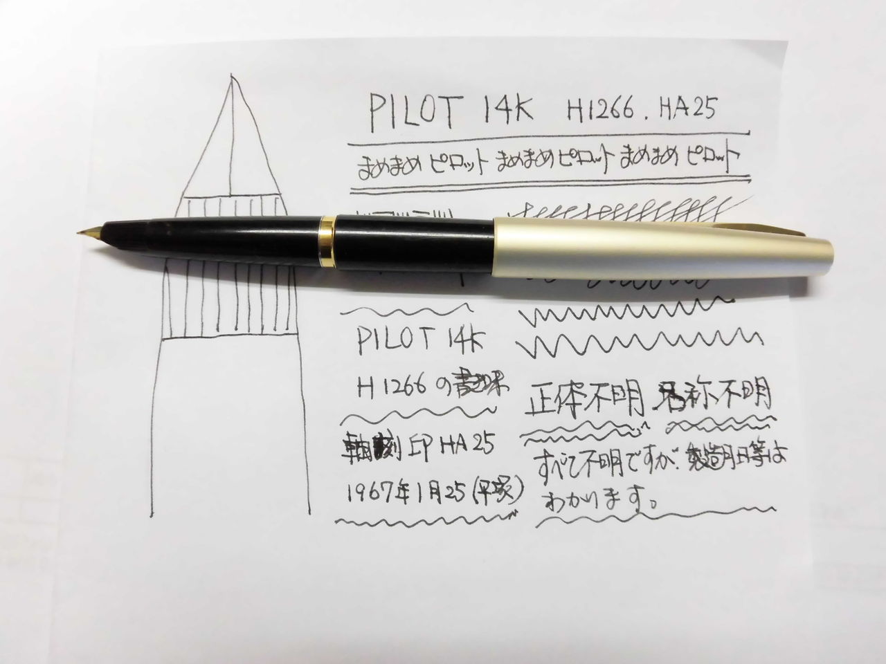 PILOT 万年筆 14K 2本 PILOT 14K H1266 HA25 : 万年筆おやじの備忘録
