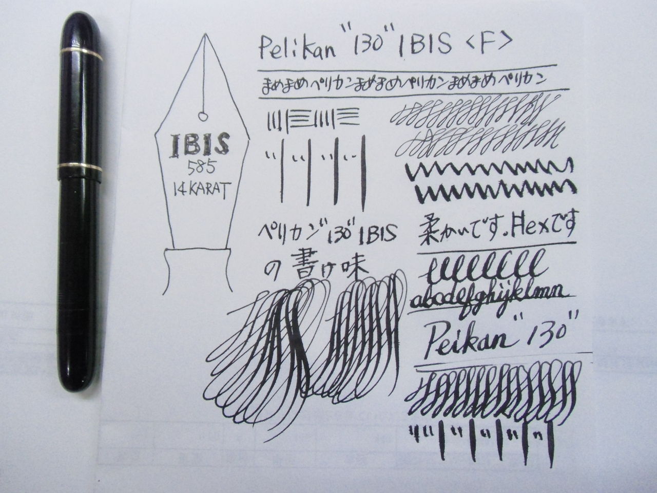PELIKAN