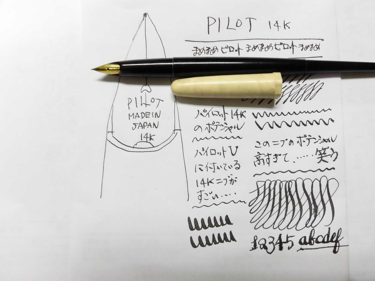 PILOT V 14K 改造スーパー・フレックス : 万年筆おやじの備忘録