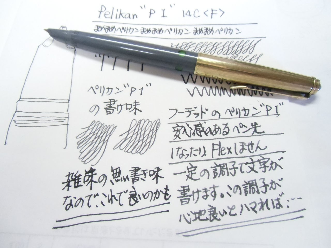 PELIKAN