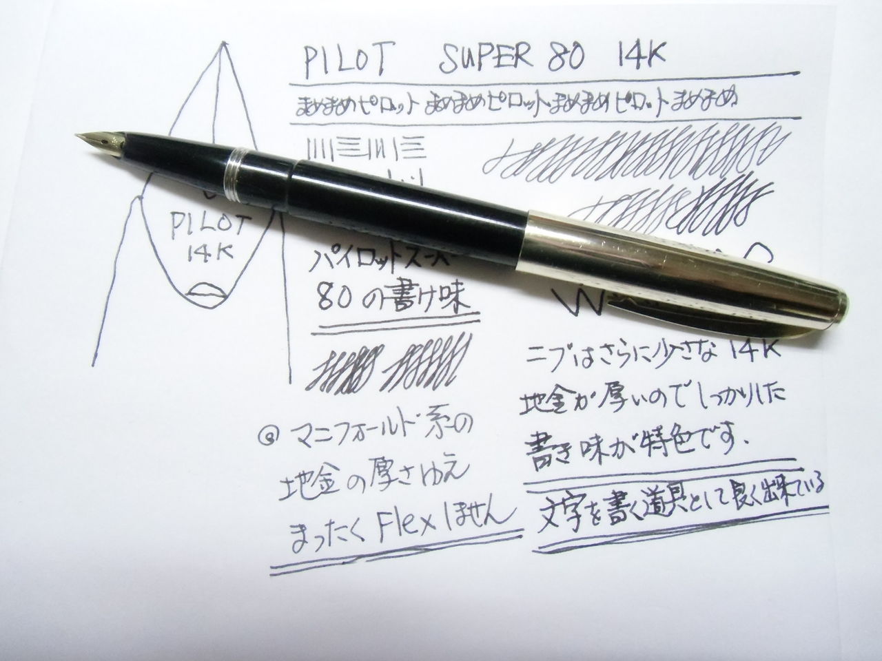 PILOT パイロット 万年筆 SUPER スーパー80 黒 | mdh.com.sa