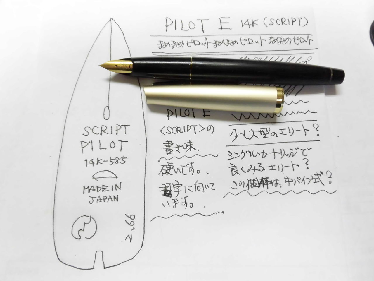 #010 オーバーホール済み 万年筆 パイロット ロング PILOT E 14k パイロット 万年筆 エリート カスタム E-5000GS スクリプト PILOT