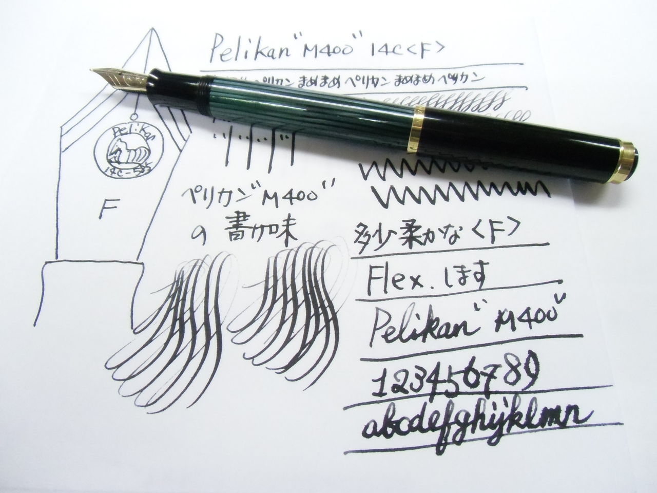 PELIKAN