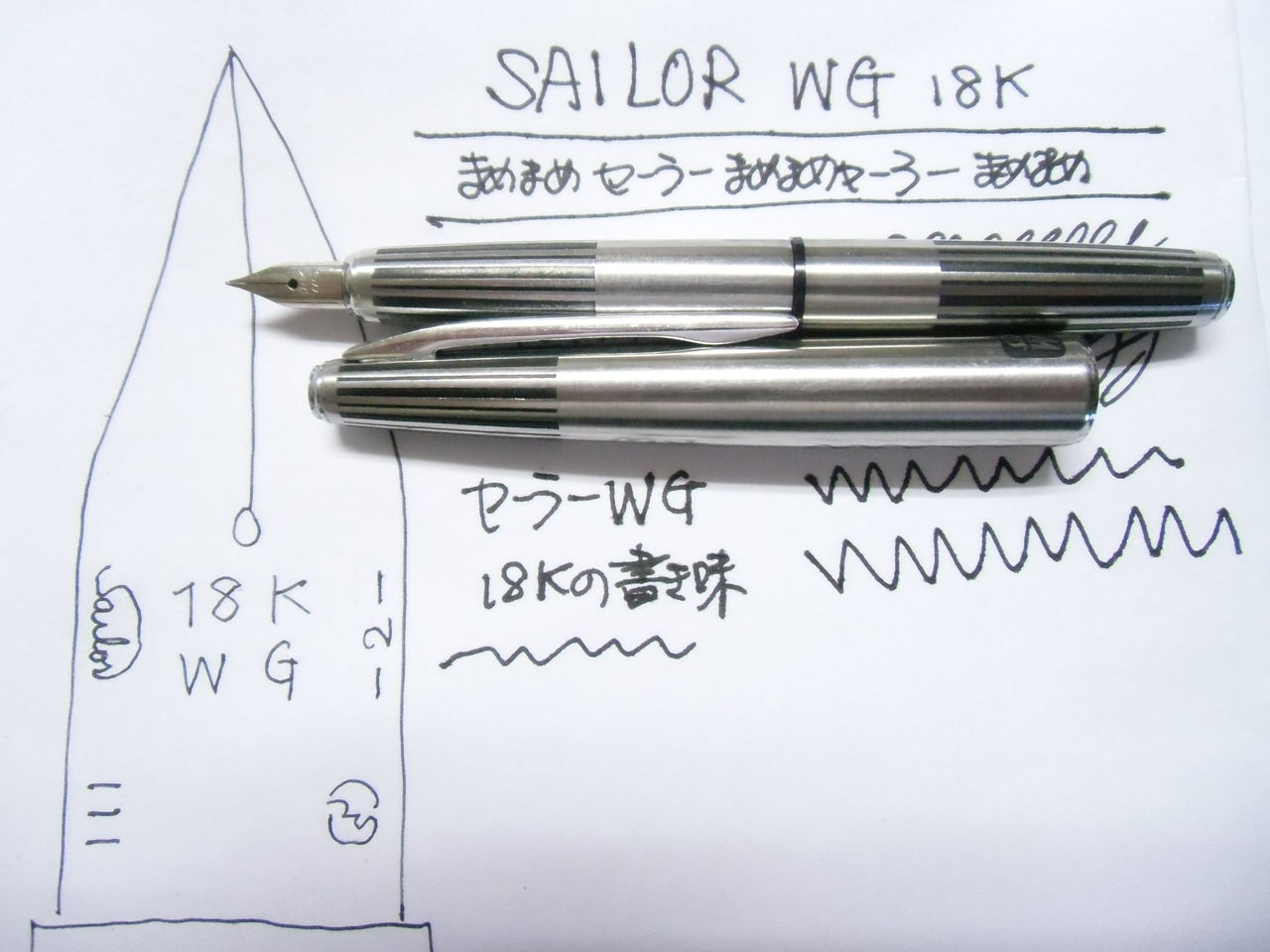 SAILOR 18K WG : 万年筆おやじの備忘録