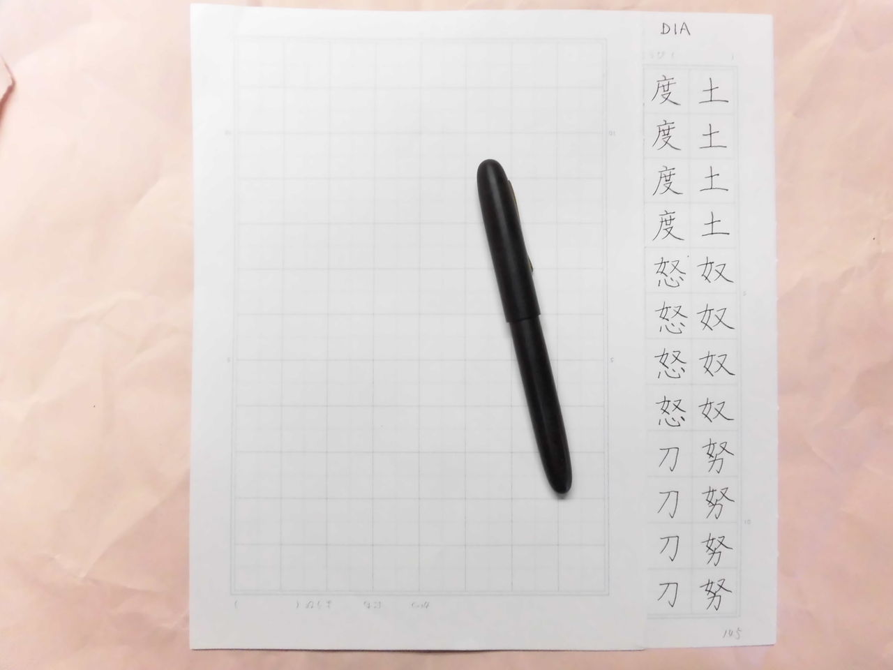 DIA インキ止め式 : 万年筆おやじの備忘録