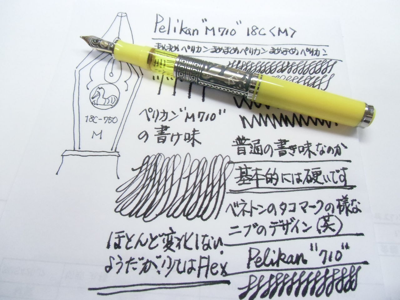 PELIKAN