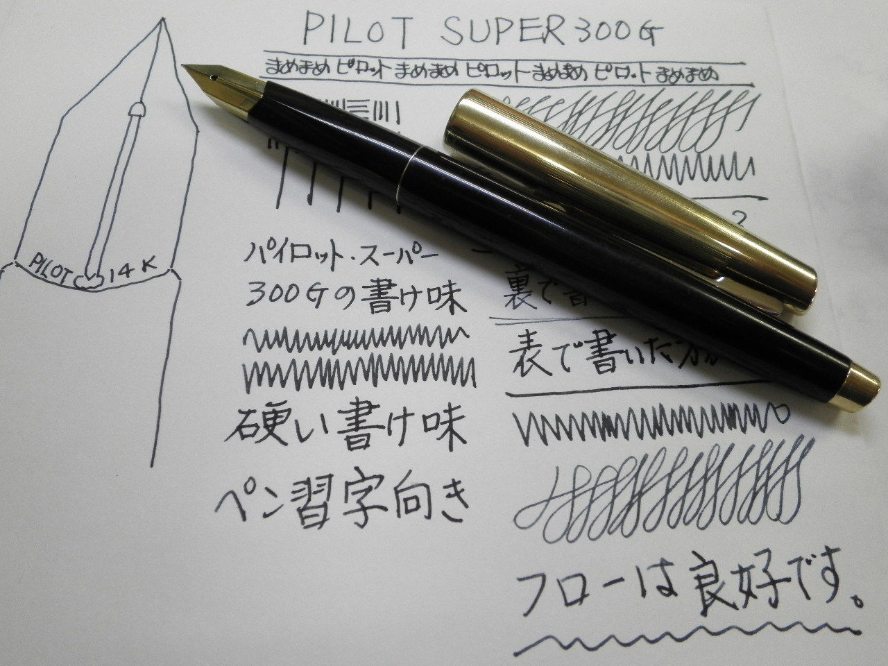パイロット 万年筆 スーパークオリティ ブラック ゴールド