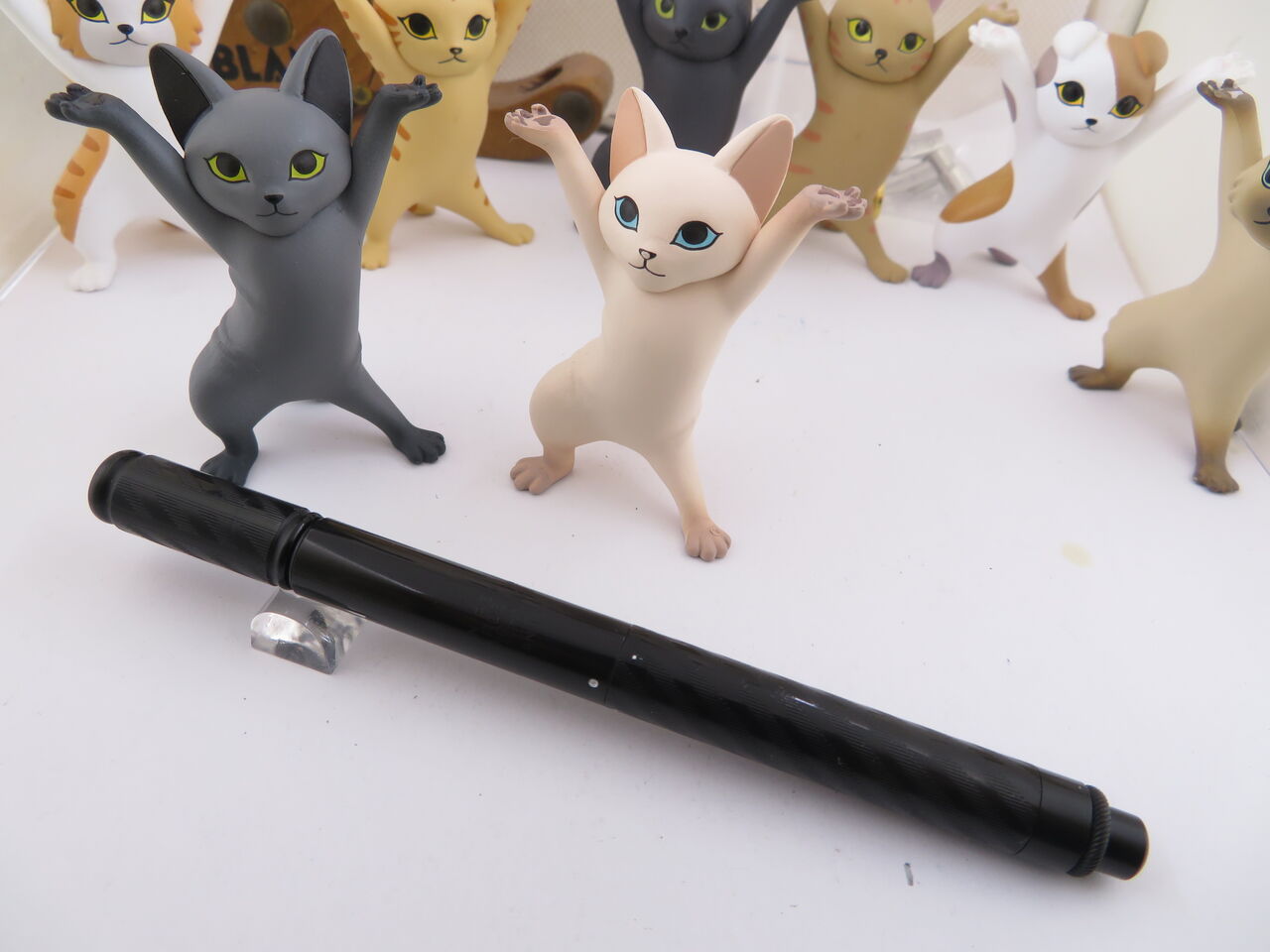 THOS DE LA RUE PELICAN PEN : 万年筆おやじの備忘録
