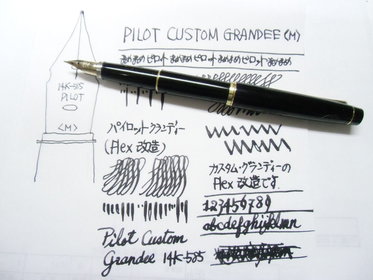 PILOT CUSTOM GRANDEE ＜M＞ Flex改造 : 万年筆おやじの備忘録
