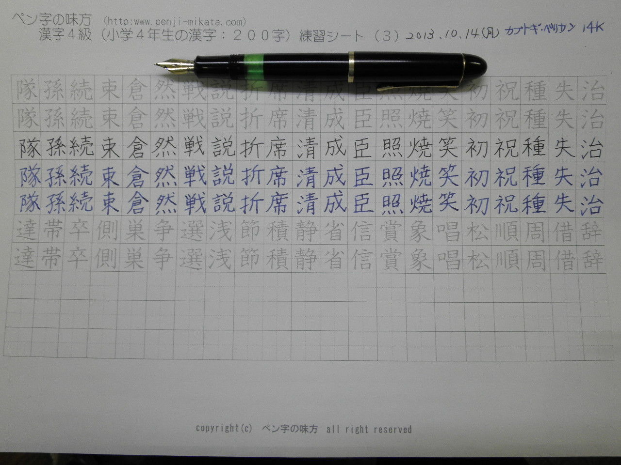 カブトギ祭り開催中 その6 カブトギ ペリカンの謎 万年筆おやじの備忘録