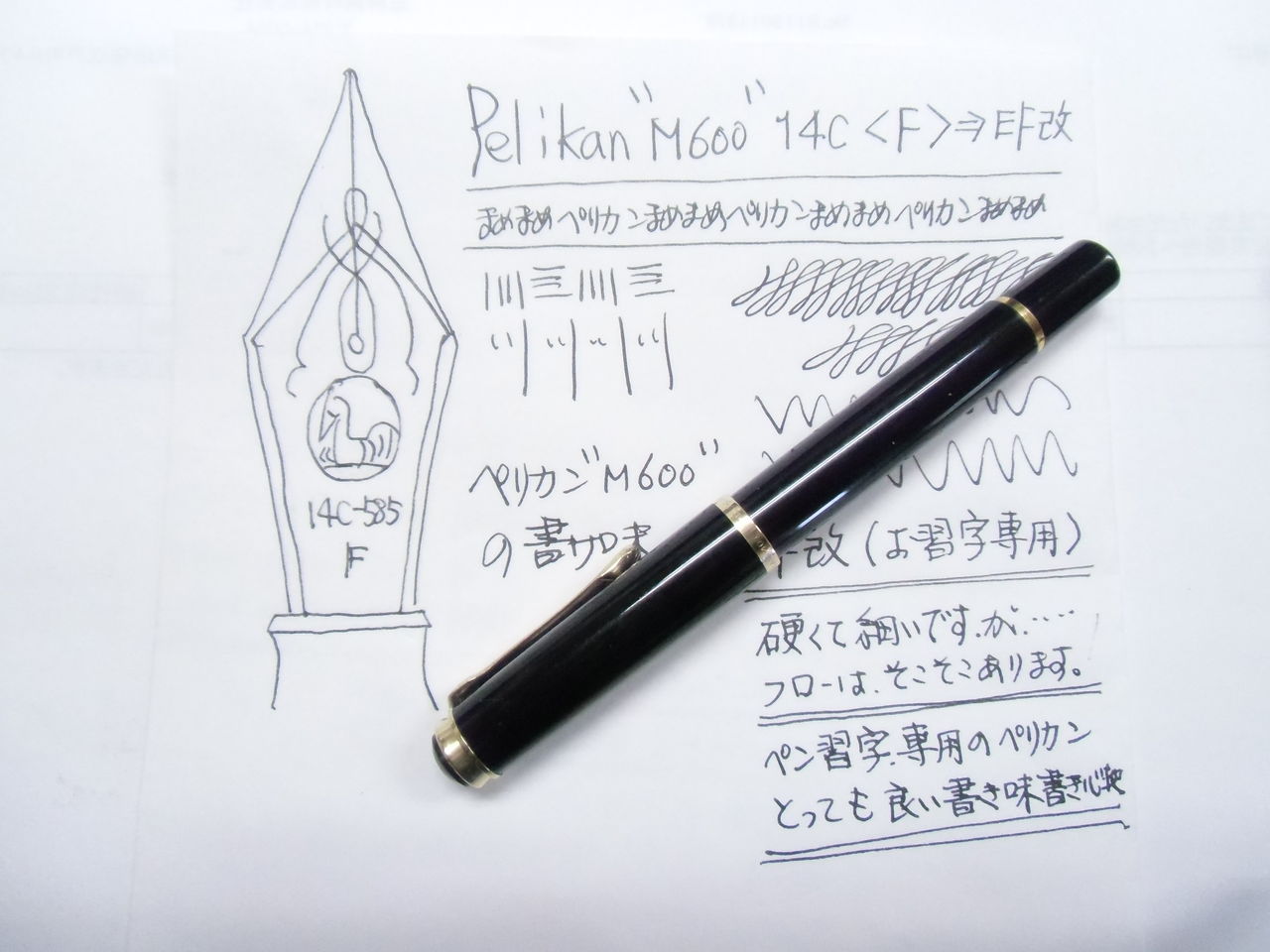 Pelikan M 600 14c 585 F ペン習字用 ef へ改造 万年筆おやじの備忘録 Pelikan M 600 14c 585 F ペン習字用 ef へ改造 万年筆おやじの備忘録