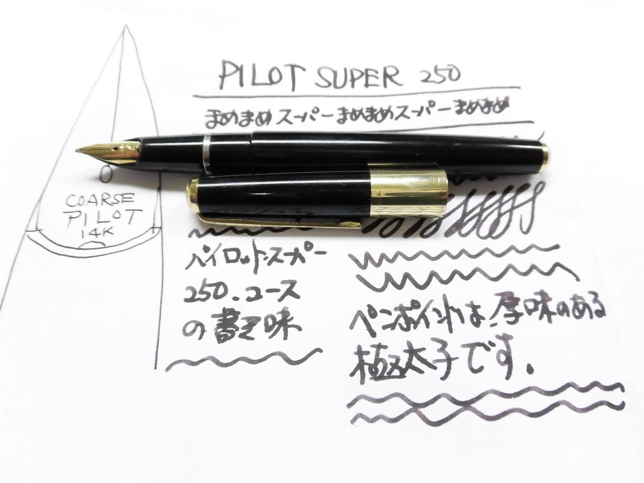 万年筆7本セット PILOT SUPER-250 その7<COARSE>③ : 万年筆おやじの備忘録