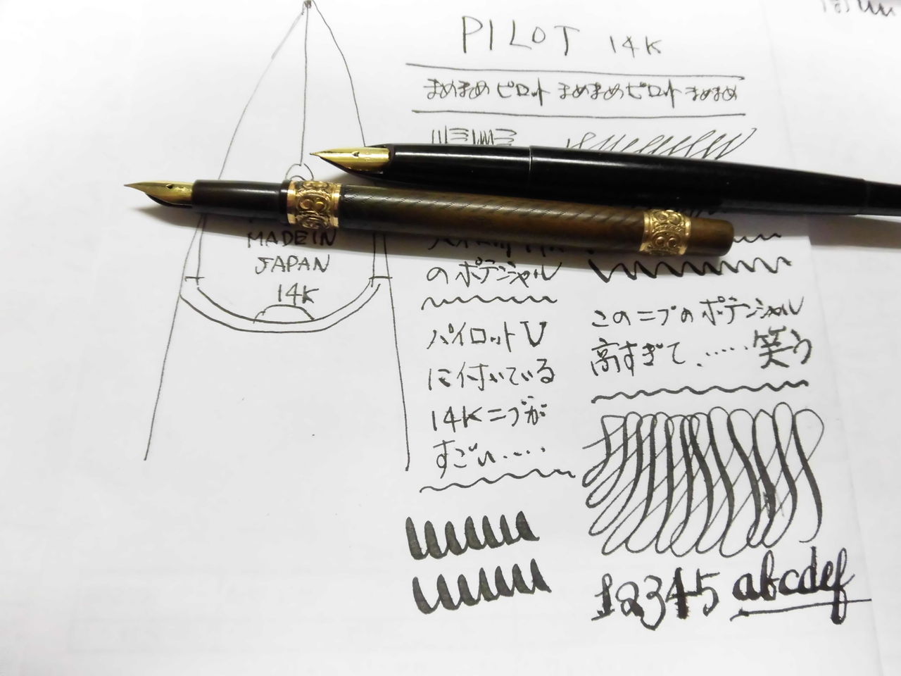 PILOT V 14K 改造スーパー・フレックス : 万年筆おやじの備忘録