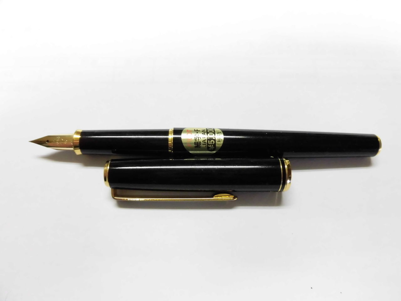 PILOT 万年筆　14K パイロット 万年筆 14金」の人気商品一覧 | 安い商品を通販サイトから