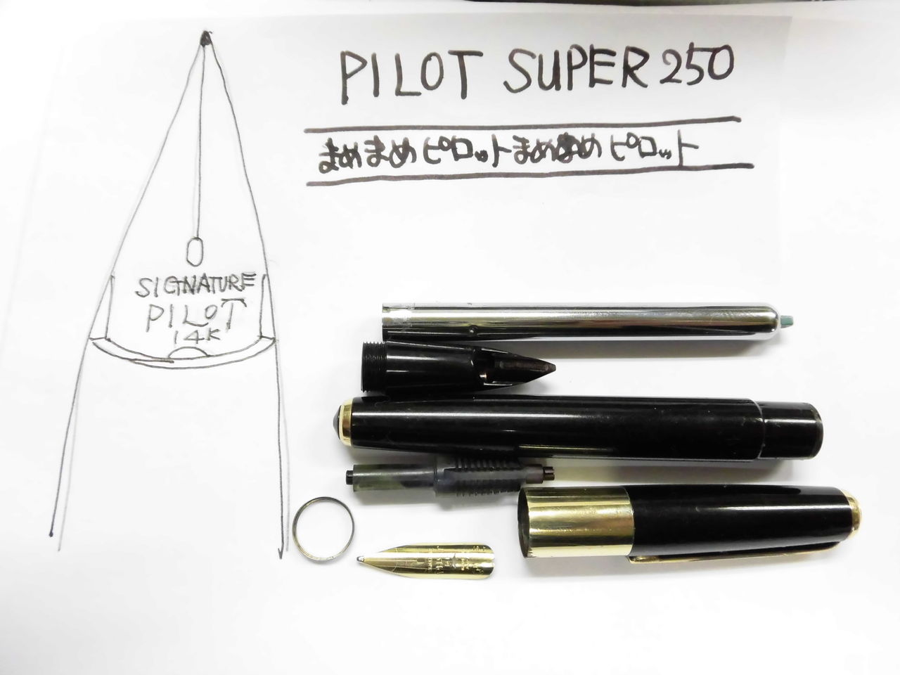 PILOT SUPER-250 その3（SIGNATURE) : 万年筆おやじの備忘録