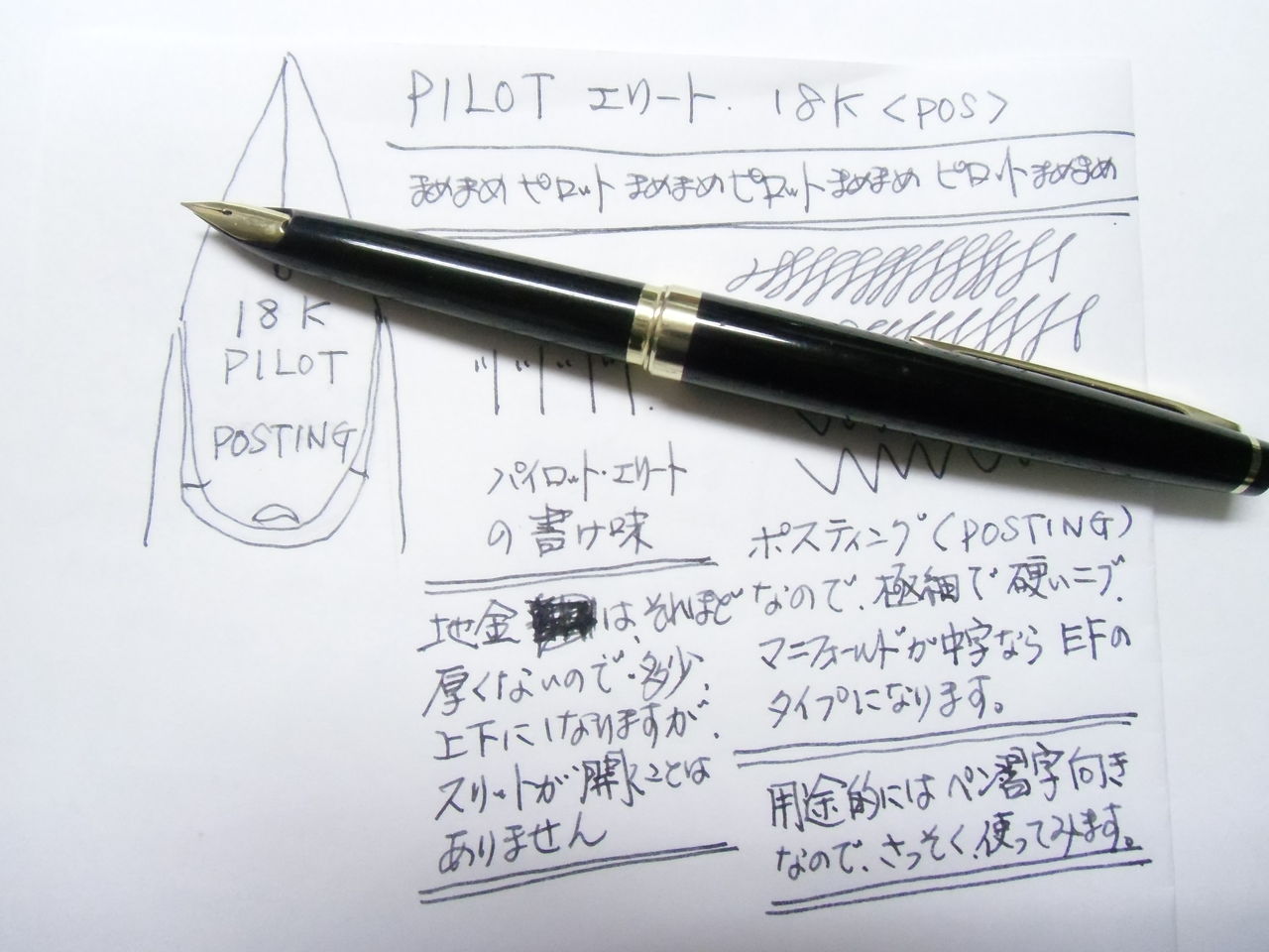 PILOT エリート 18K ＜ポスティング＞ : 万年筆おやじの備忘録