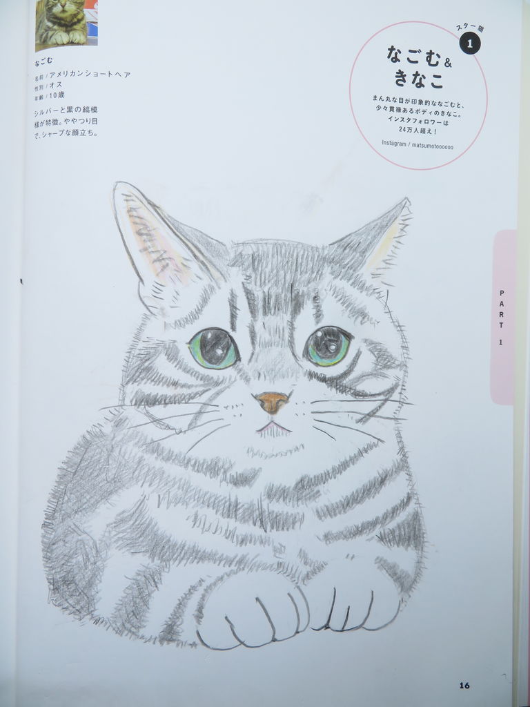 猫イラスト 万年筆おやじの備忘録
