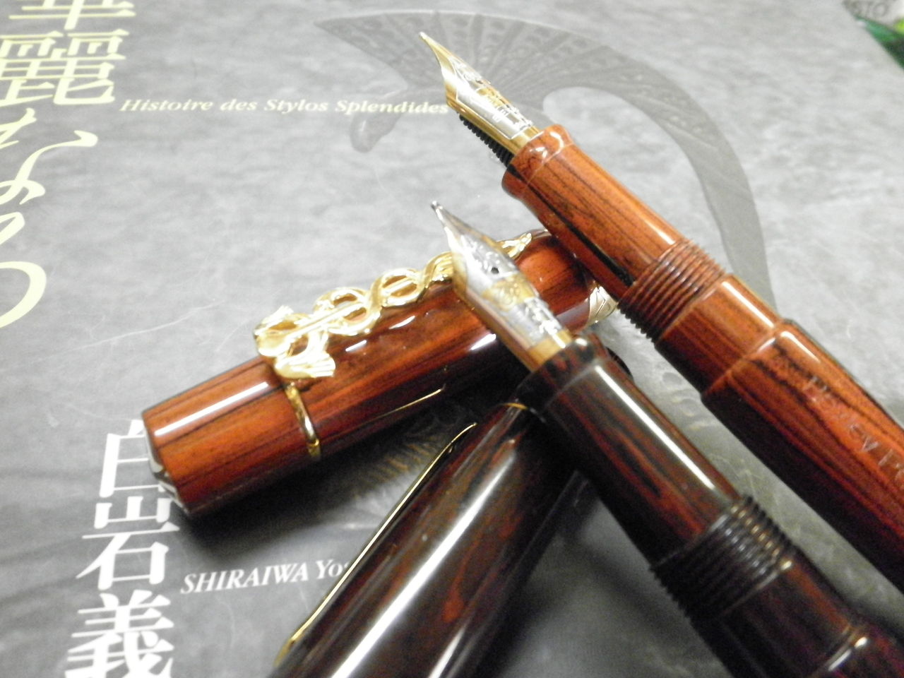 BEXLEY万年筆/ベクスリー/ベクスレー/茶色と黒のマーブル模様/18K750 華麗なる万年筆 その7 : 万年筆おやじの備忘録