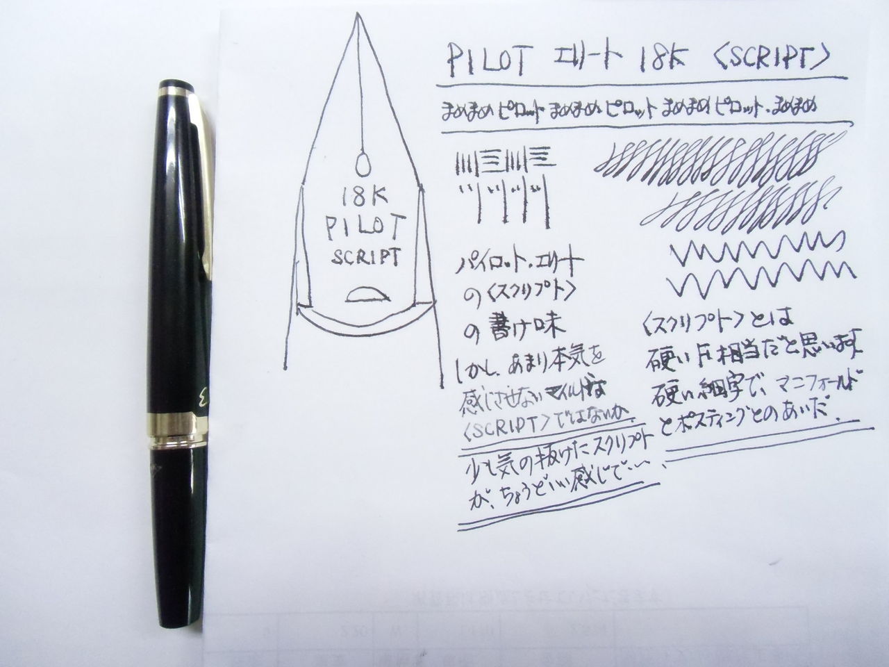 万年筆 名入れ パイロット PILOT エリート Elite 95S 万年筆 14K EF