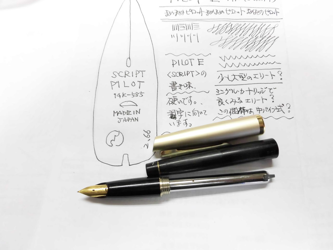 #0130 オーバーホール済み パイロット ロング PILOT E 14k 詳細ページ | 万年筆 ボールペンなど高級筆記具の販売・買取