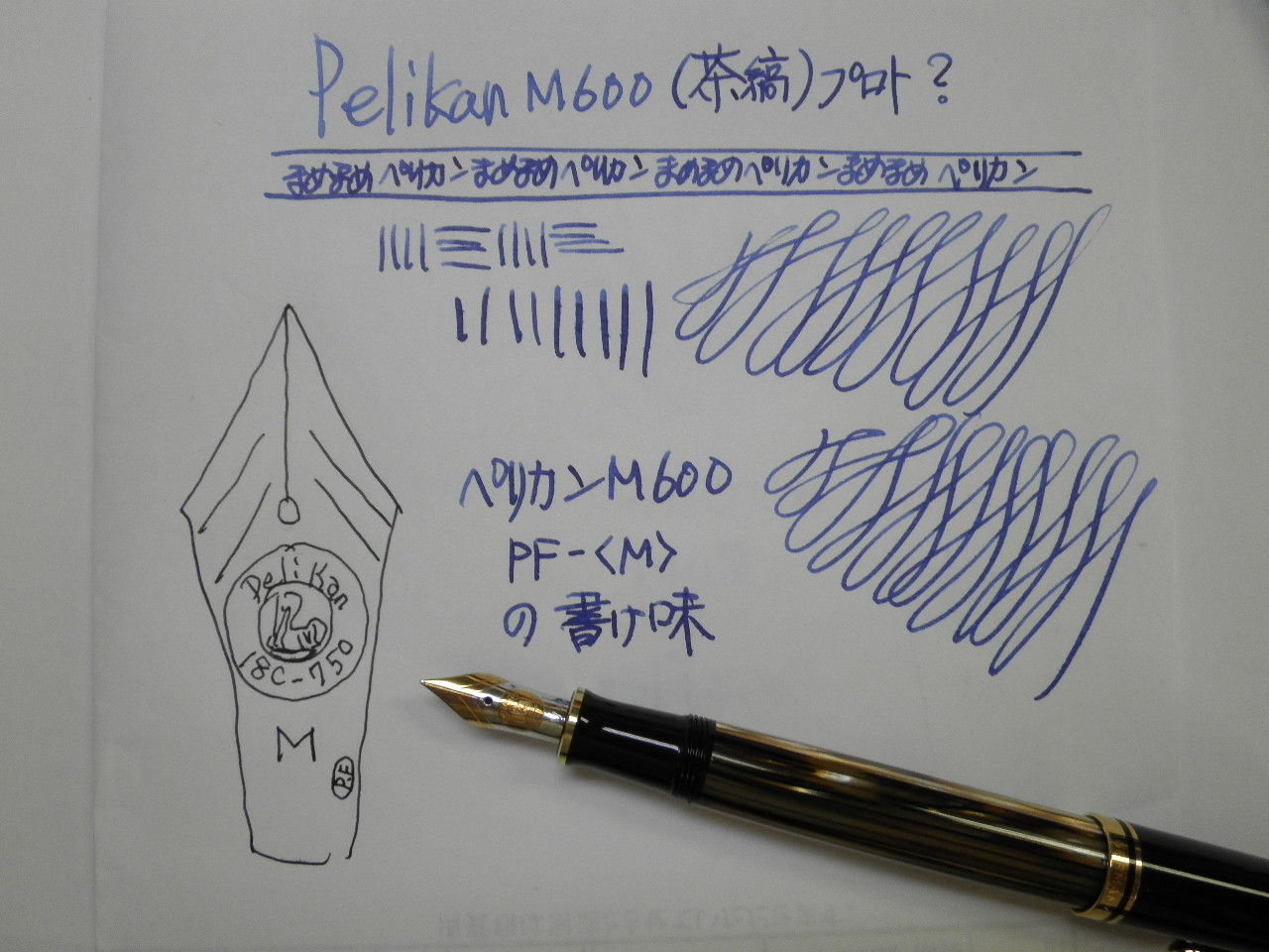 PELIKAN M600 (茶縞)プロト？18C-M(PF) : 万年筆おやじの備忘録