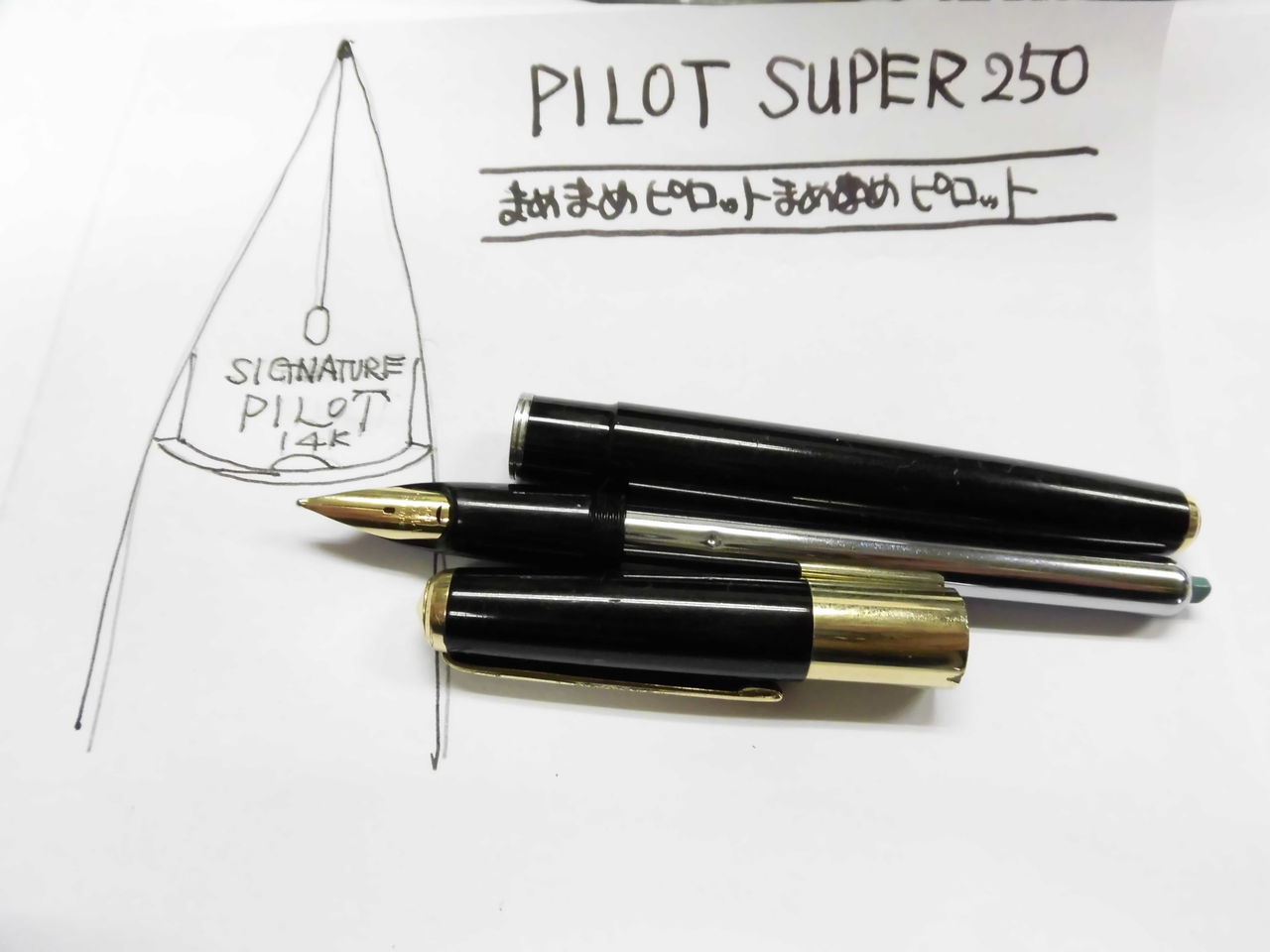 PILOT SUPER-250 その3（SIGNATURE) : 万年筆おやじの備忘録