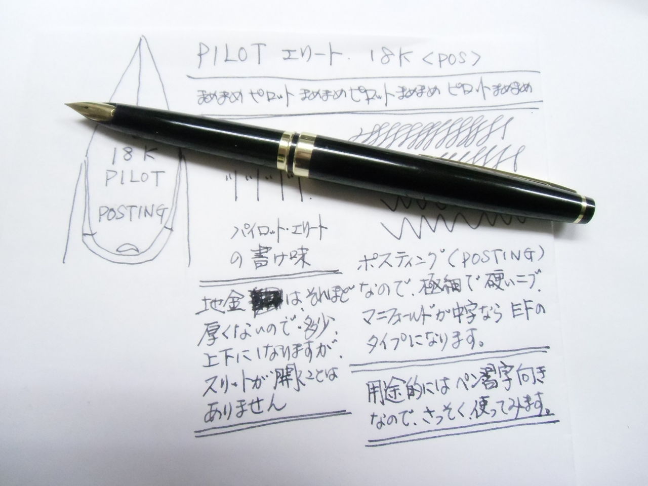 PILOT エリート 18K ＜ポスティング＞ その2 : 万年筆おやじの備忘録