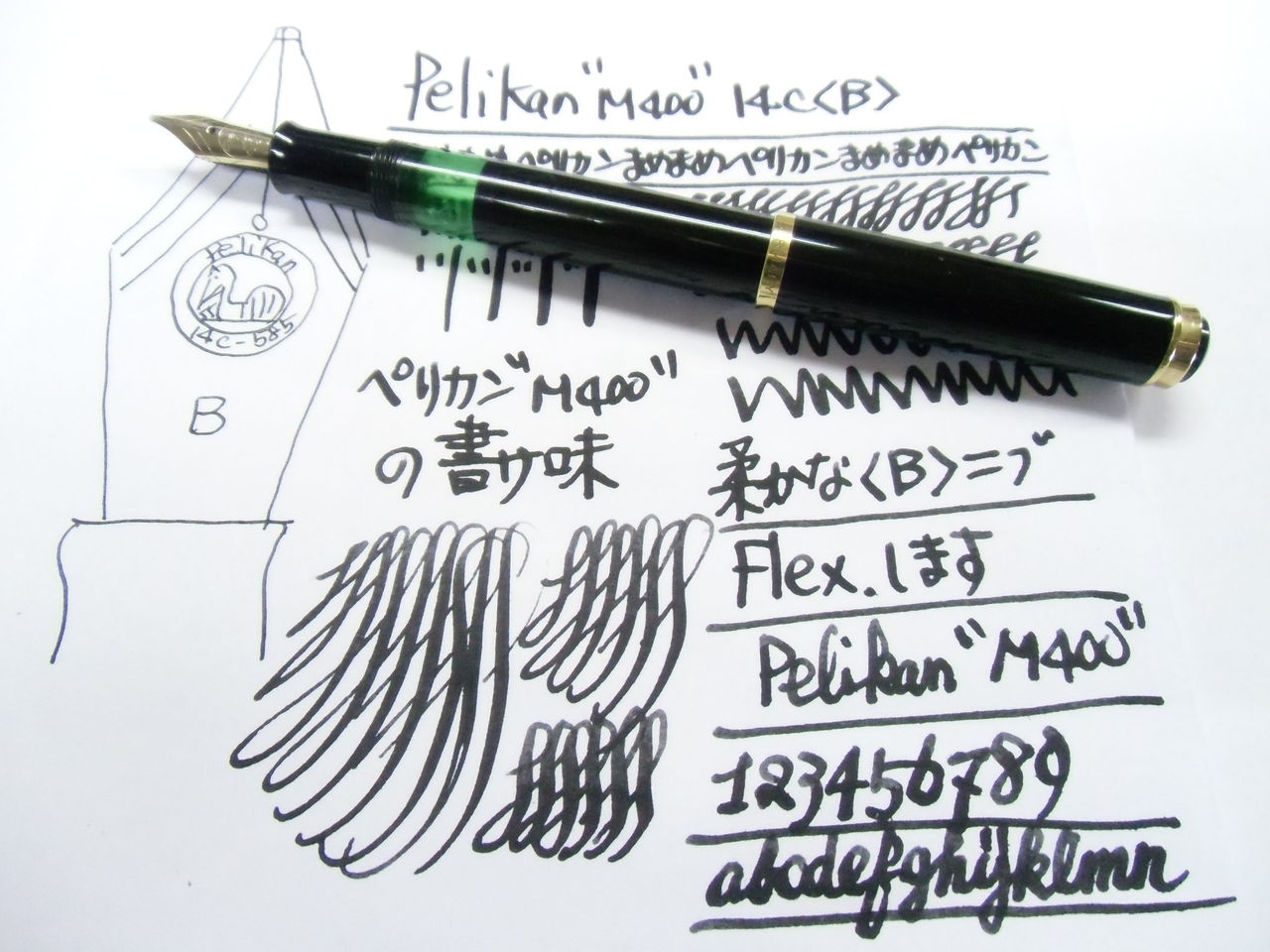 PELIKAN