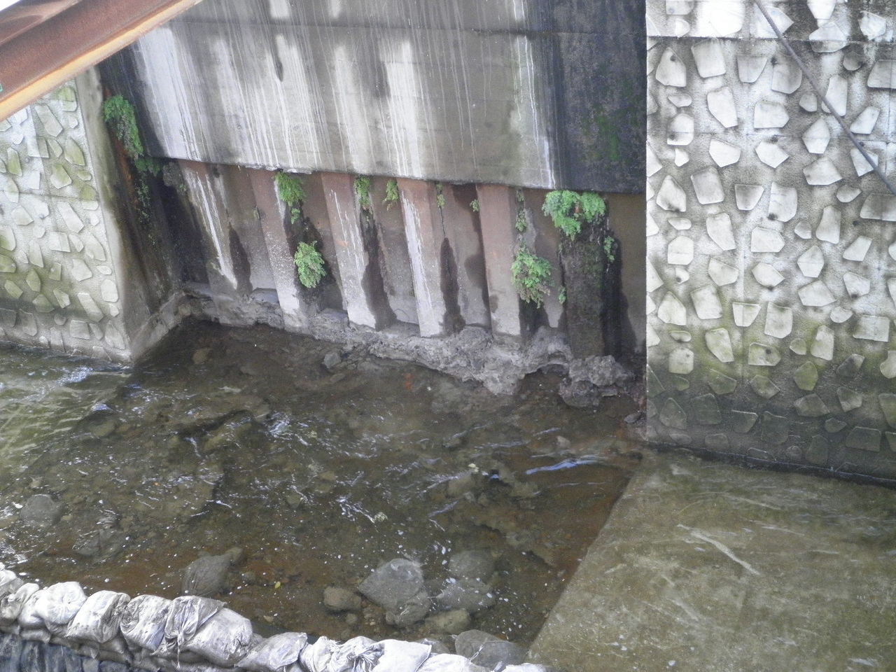 呑川 の 本村橋 に異変が 万年筆おやじの備忘録