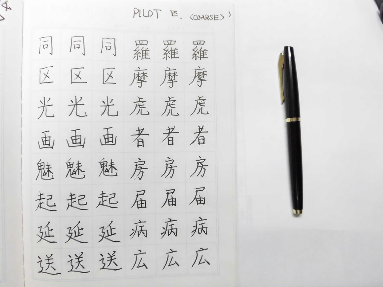 #226 オーバーホール済み パイロット ロング PILOT E 14k PILOT E 14K <COARSE> : 万年筆おやじの備忘録