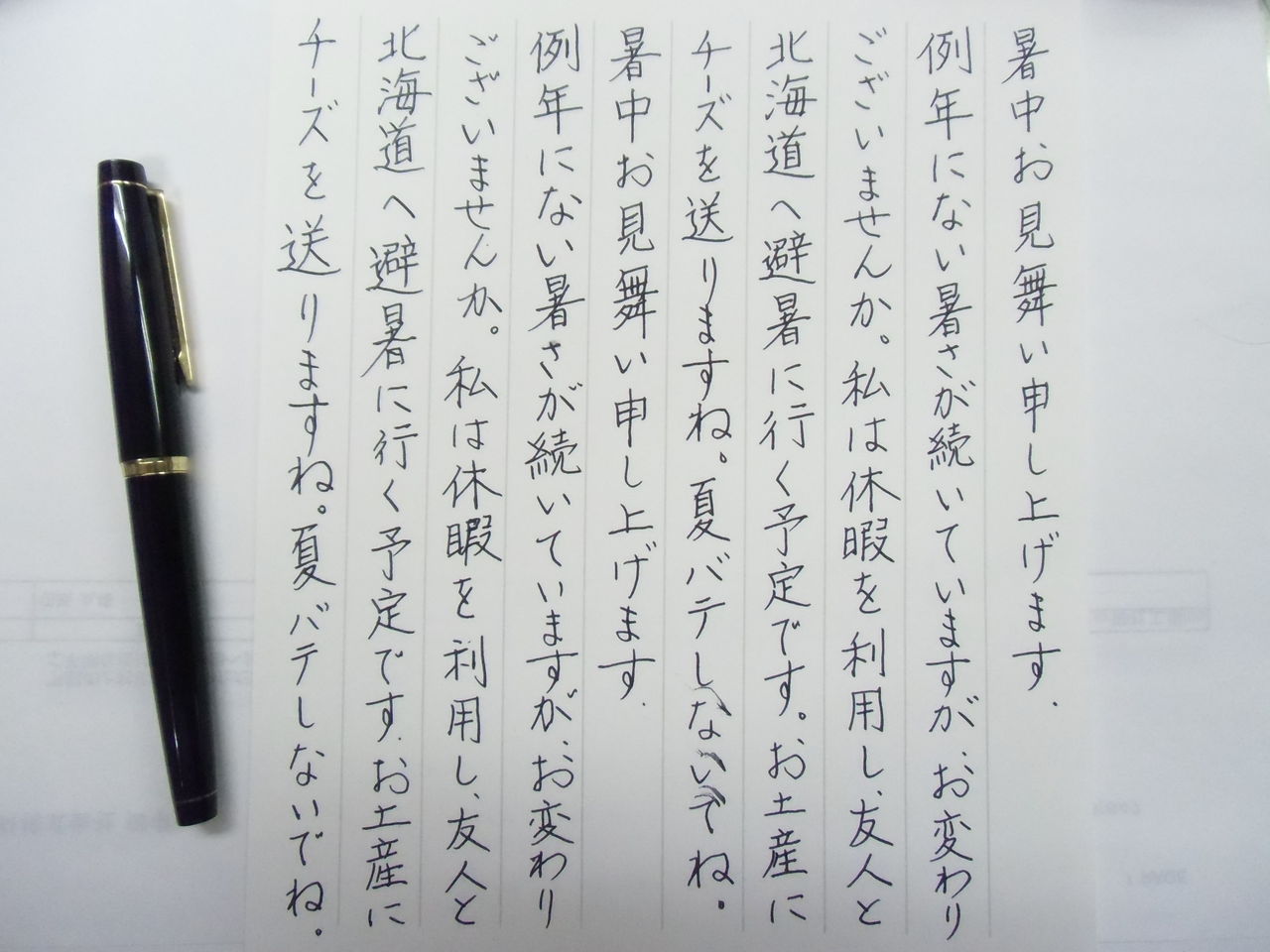 更新２ Pilot Elite 大吟醸sp Pilot Grandee お習字sp 万年筆おやじの備忘録