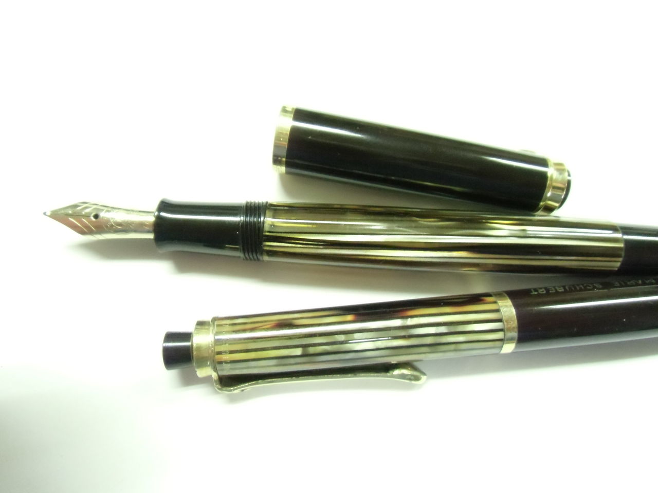 PELIKAN PELIKAN