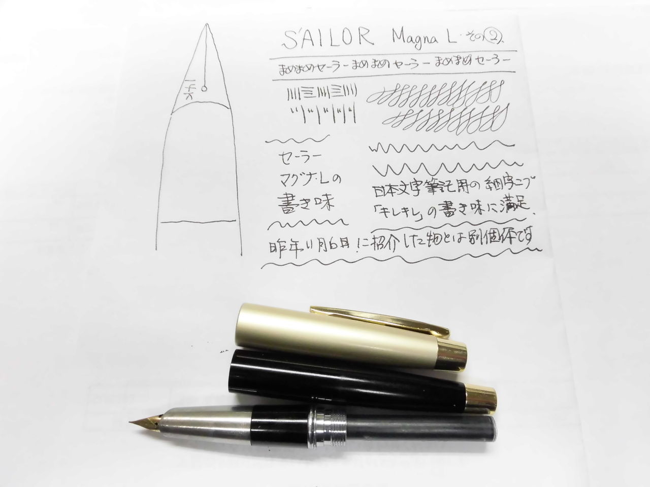 SAILOR Magna-L 14K : 万年筆おやじの備忘録