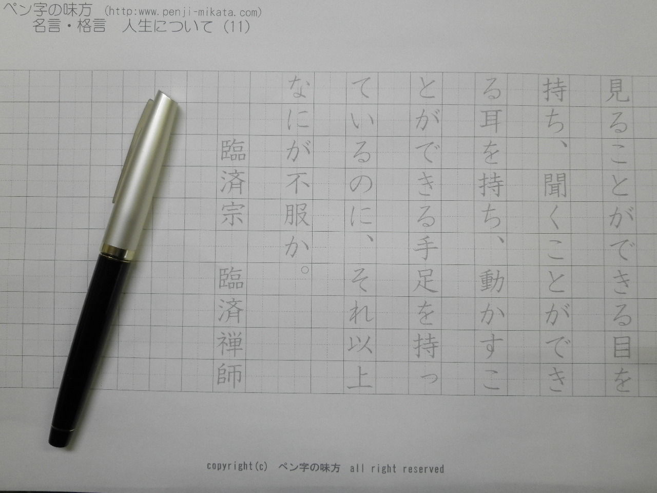 美品’70年頃◆パイロット E-300 14K-585 ＜SCRIPT＞脚本用 PILOT E-300 14K-585 <SCRIPT> : 万年筆おやじの備忘録