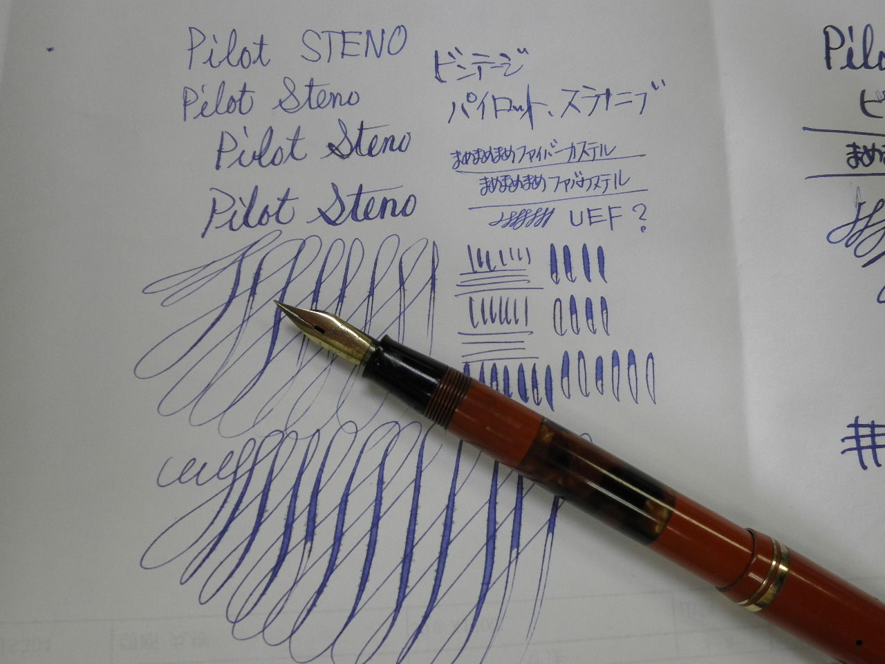 Pilot パイロット　ステノ 万年筆 楽天市場】PILOT パイロット 万年筆 蒔絵 スーパー 蜻蛉 細字【中古-良