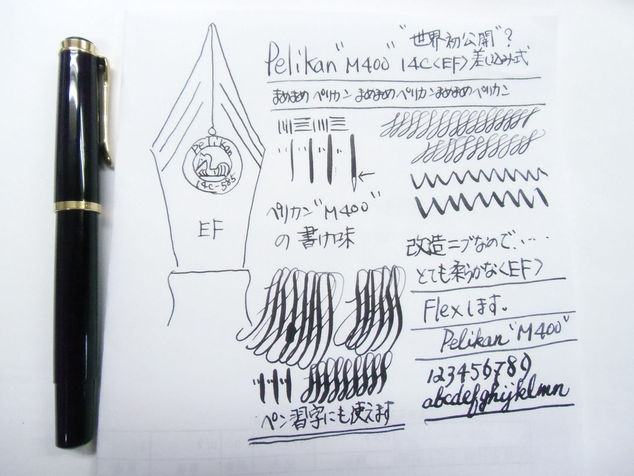 緊急参戦 PELIKAN