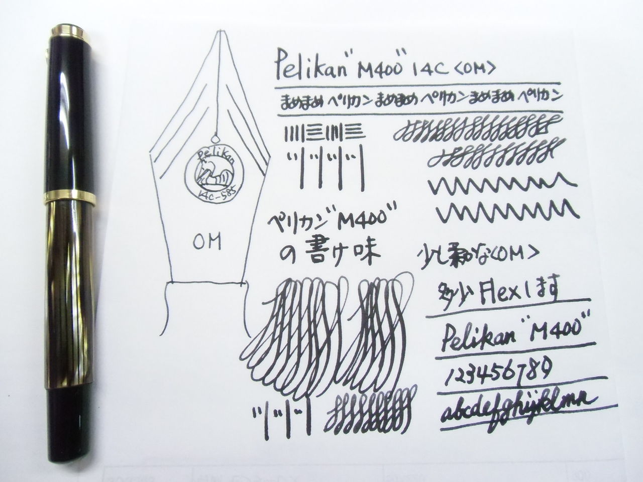PELIKAN