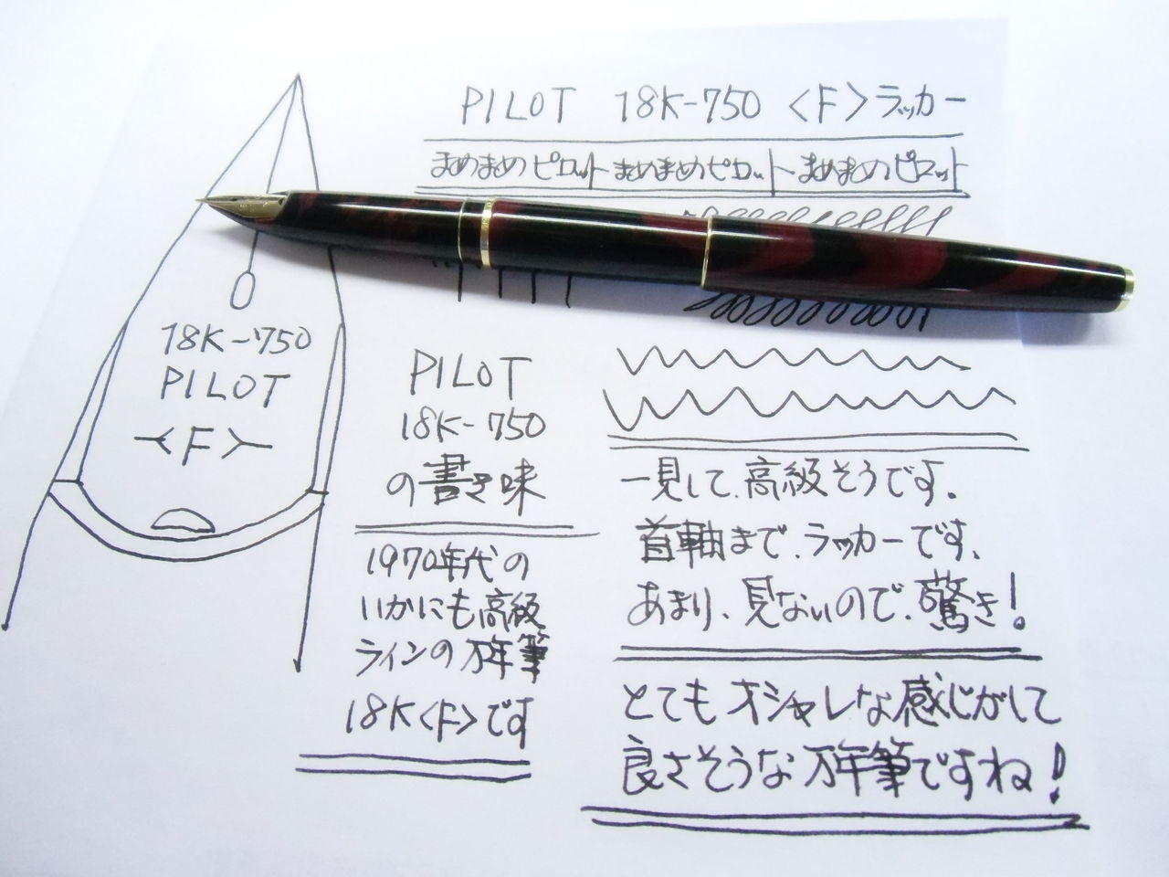 PILOT 18K-750 ＜F＞首軸までラッカー塗装 : 万年筆おやじの備忘録