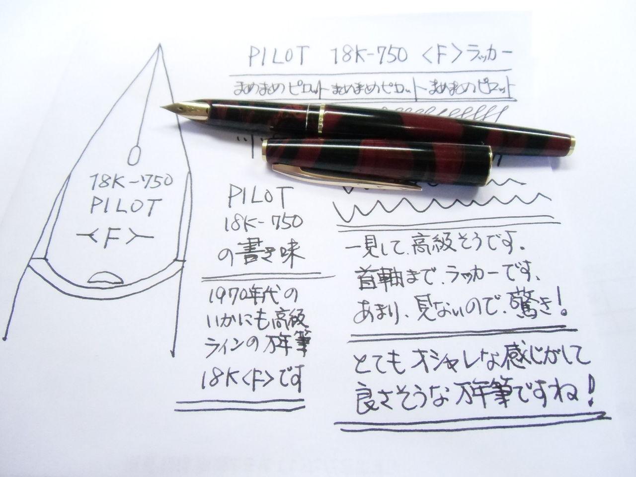 PILOT 18K-750 ＜F＞首軸までラッカー塗装 : 万年筆おやじの備忘録