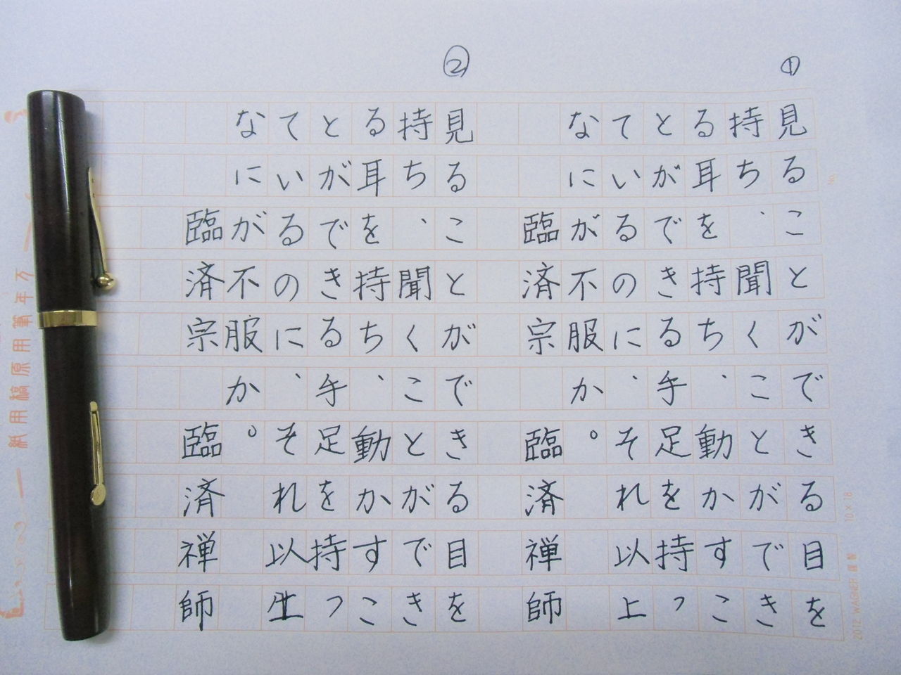 Waterman S 55 お絵かき用に改造 基礎実験 万年筆おやじの備忘録 Waterman S 55 お絵かき用に改造 基礎実験 万年筆おやじの備忘録