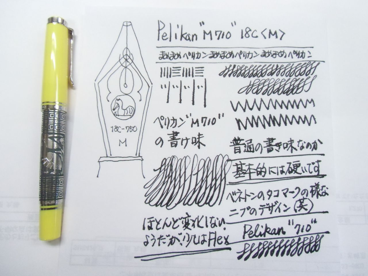 PELIKAN