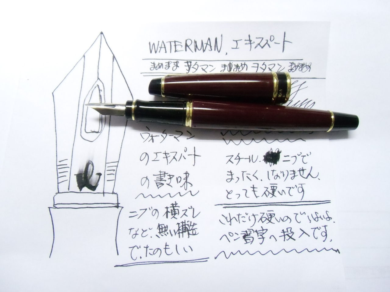 WATERMAN エキスパート＜EF＞大吟醸 : 万年筆おやじの備忘録