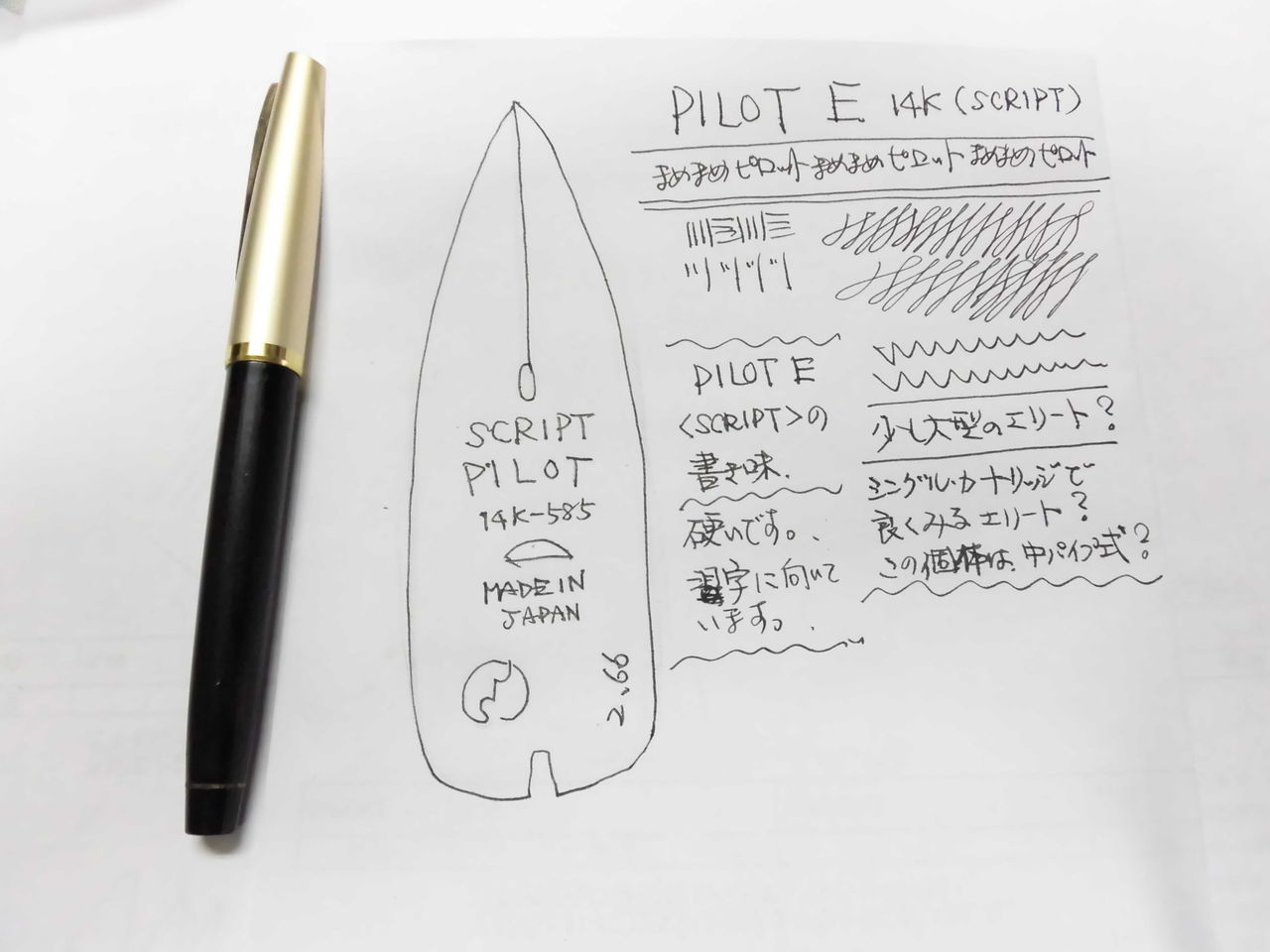 Pilot 万年筆 E200 中パイプテコ式 Script 細字 細字でも文字に抑揚がつけられる万年筆【パイロット 初代カスタム