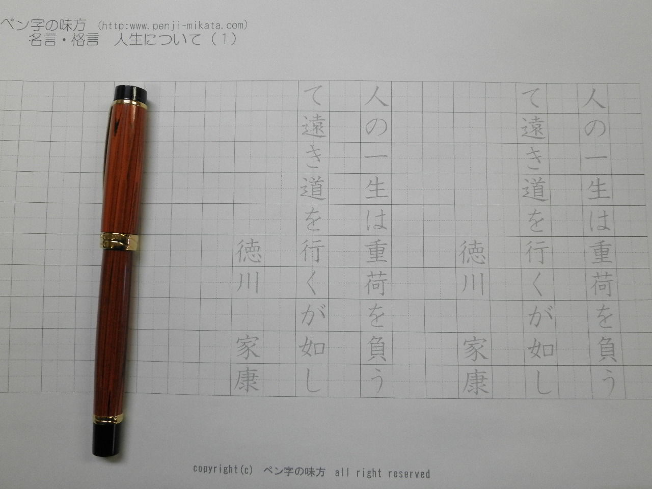 美品□WATERMAN/ウォーターマン リエゾン エボナイト ペン先18K Mニブ カートリッジ式 万年筆 ブラウン系 フランス製 ケース・インク付き