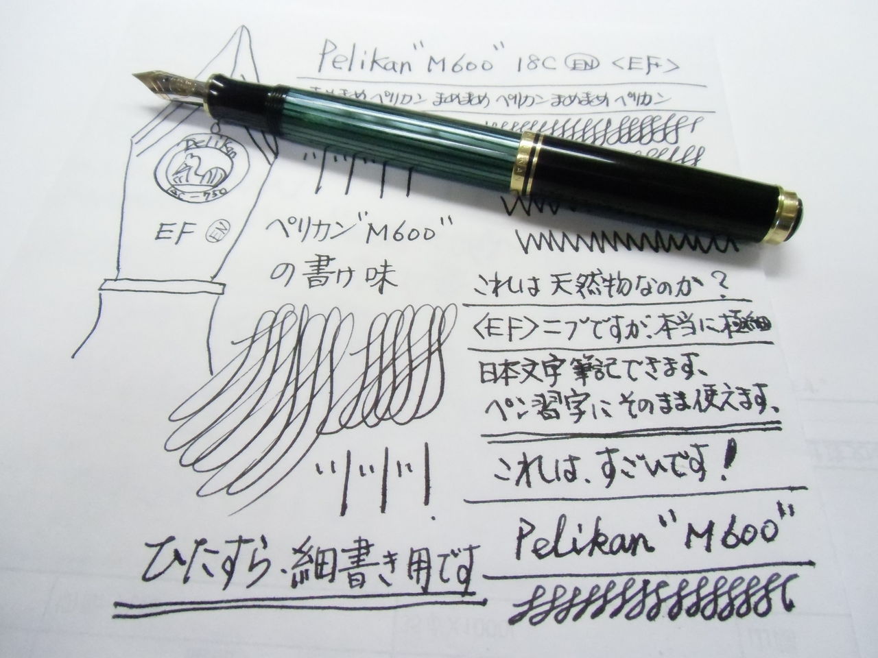 PELIKAN